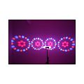 Led Star Quad Moonflower