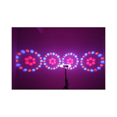 Led Star Quad Moonflower