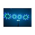 Led Star Quad Moonflower