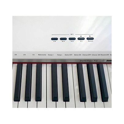 Sai Piano P-9WH