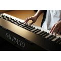 Sai Piano P-9BT-BK