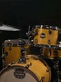 Mapex MA529SFYD