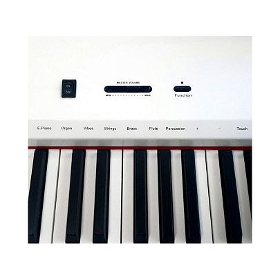 Sai Piano P-9WH