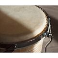 AP Percussion CX-D120B-NL