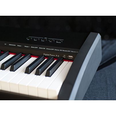 Sai Piano P-9BK