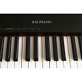 Sai Piano P-9BK